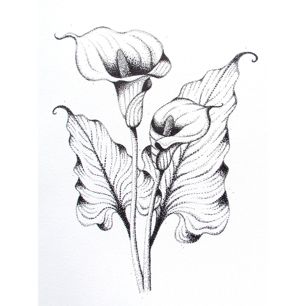 black and white calla lily drawing Calla Lily- Pen Stippling