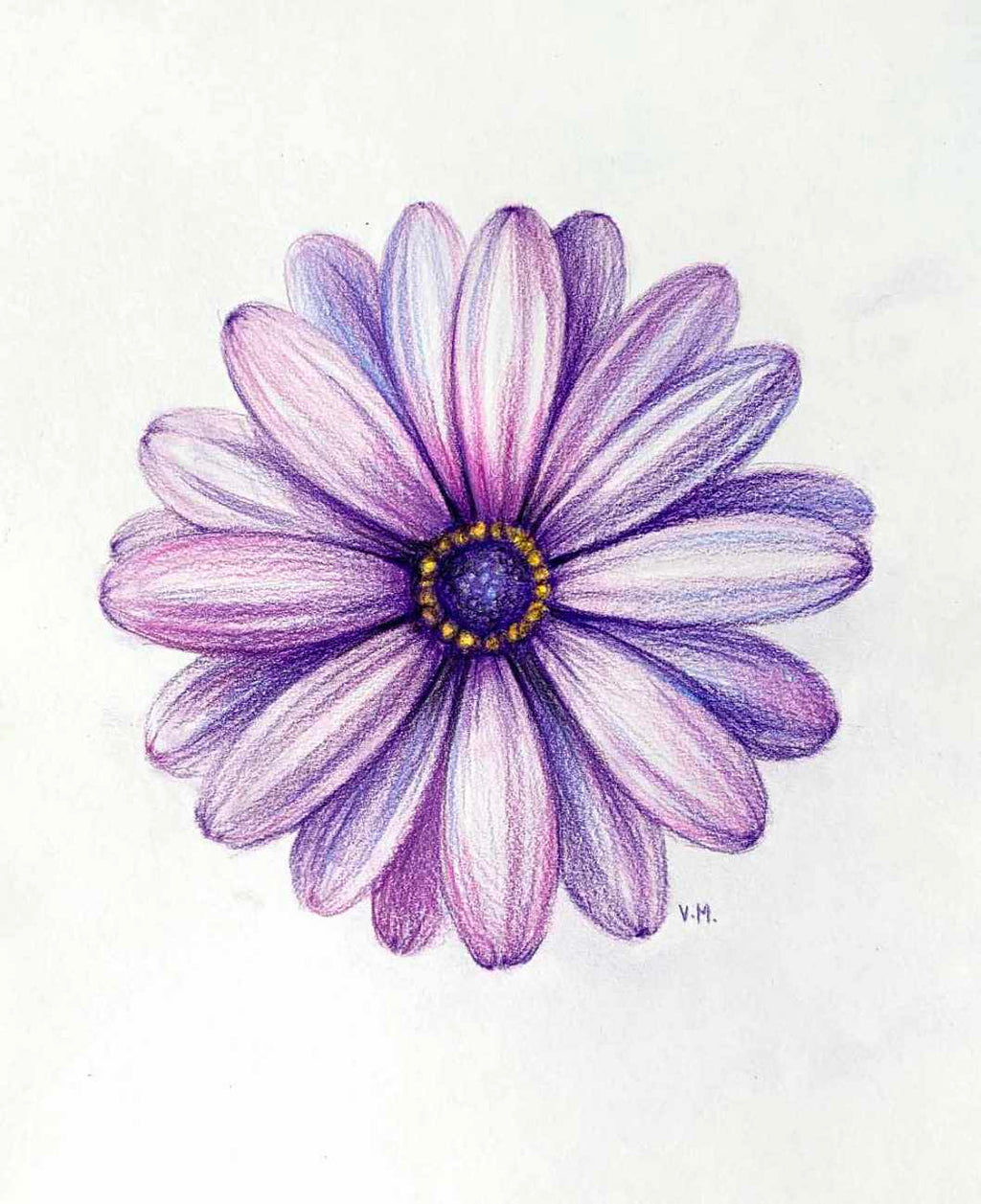 Purple Daisy Drawing Instructor Vera Artists Palette Durham purple-daisy-drawing-instructor-vera-artists-palette-durham