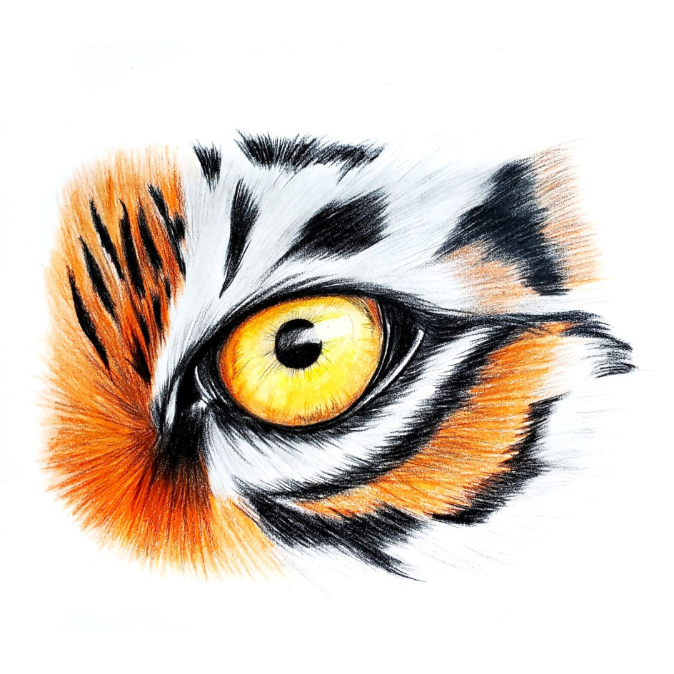 Tiger on sale eye drawing