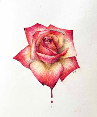 Blooming Rose - Drawing | Instructor: Vera