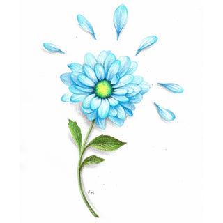Blue Daisy - Coloured Pencils Drawing | Instructor: Vera