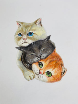 Cats: Blonde, Redhead, and Brunette - Drawing | Instructor: June