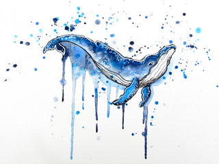 Marine Minis - Watercolour | Instructor: Chris