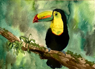 Toucan in Tropical Storm - Watercolour | Instructor: Ana