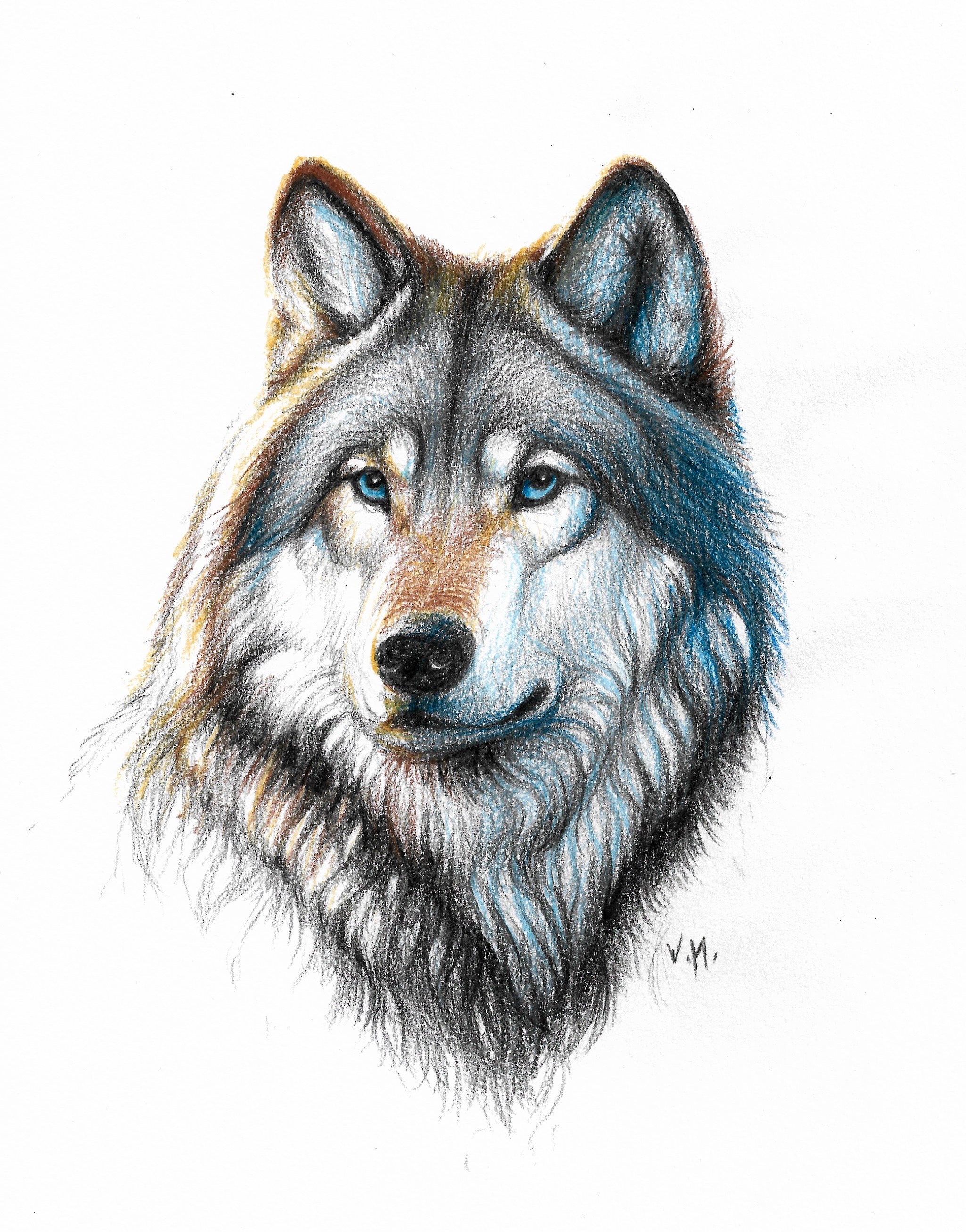 Wolf Art By Mrhd Featuring A Hyperrealistic Sketch Of A Wolf's Face With  Paws. The High-quality Photo Showcases The Realistic Portrayal Of Light And  Shadow, With Dark Proportions. The White Background Highlights