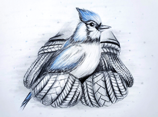 A Bird in the Hand - Drawing | Instructor: Karin
