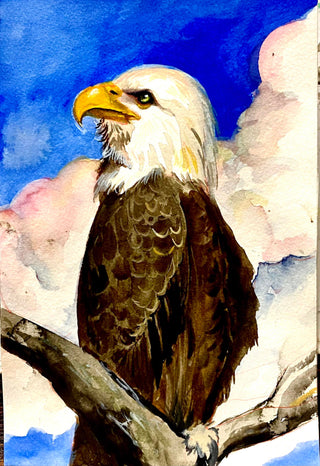 Majestic Eagle - Watercolour | Instructor: Ana