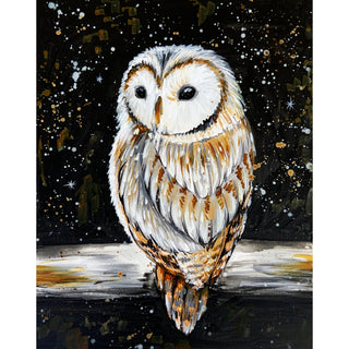 Nighttime Owl VIDEO TUTORIAL Canvas Painting Kit