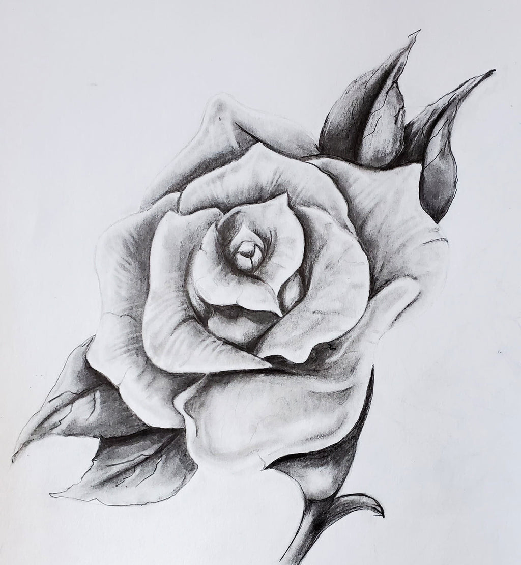 Rose Drawing Easy Step By Step at Joel Morton blog
