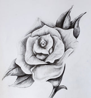 Realistic Rose - Drawing | Instructor: Karin – Artists Palette Durham