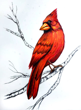 Cardinal by Your Side