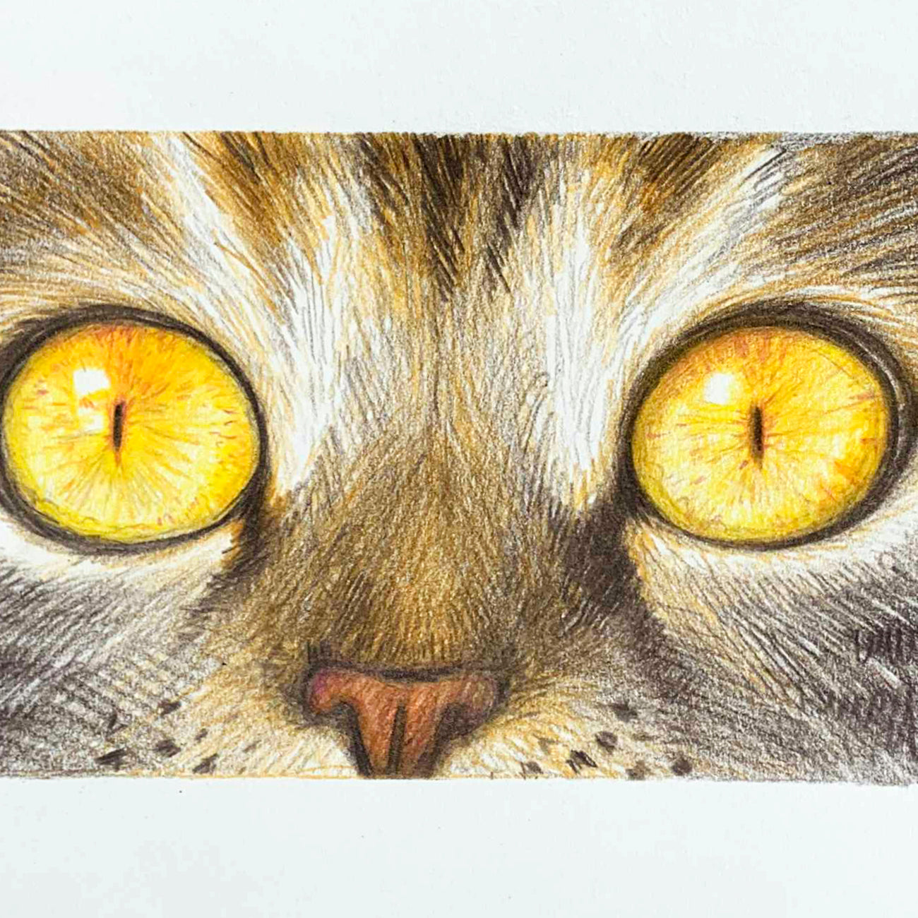 Big Yellow Eyes Drawing Instructor Vera Artists Palette Durham