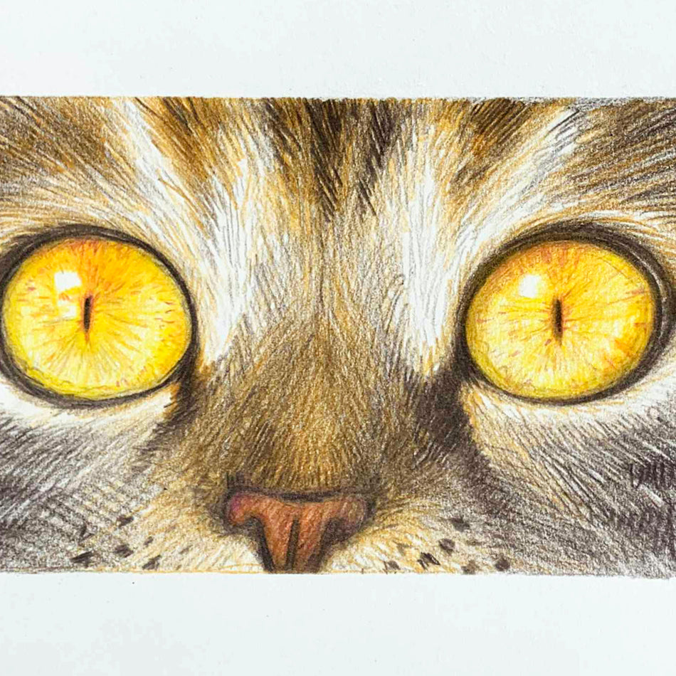 Big Yellow Eyes Drawing Instructor Vera Artists Palette Durham