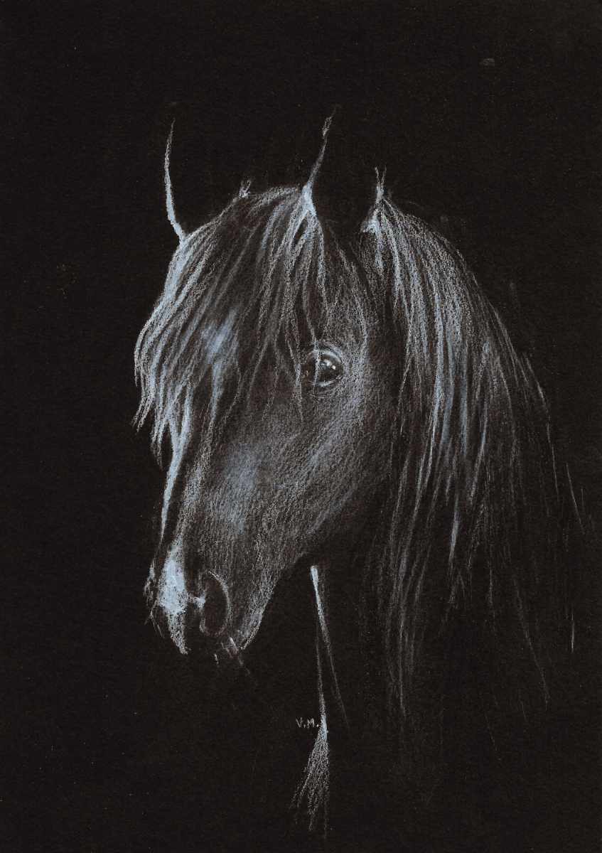 Charcoal Horse Head LQ