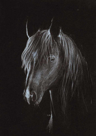 Charcoal Horse Head_LQ