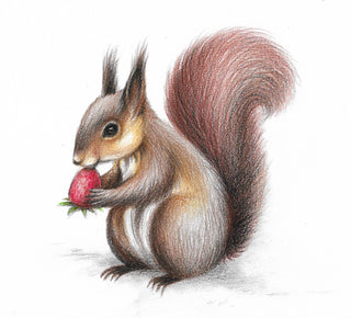 Cute Brown Squirrel - Drawing  | Instructor: Vera