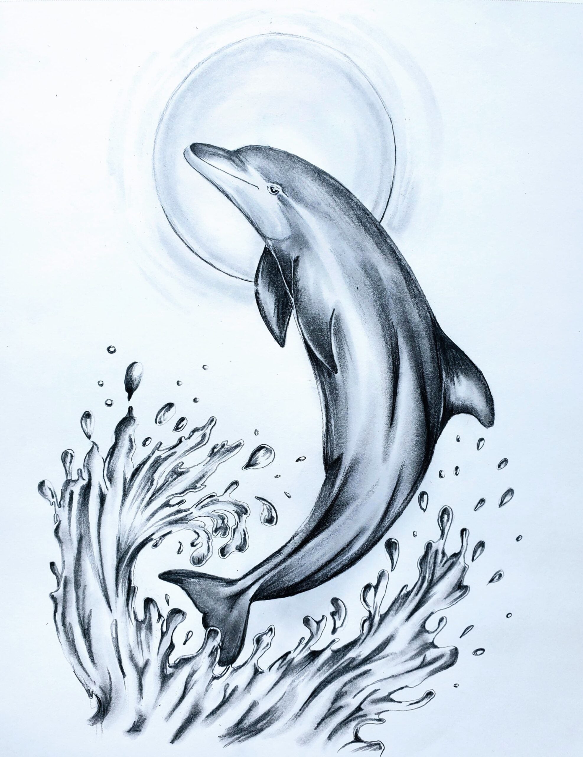 Instructions for drawing dolphin step Royalty Free Vector