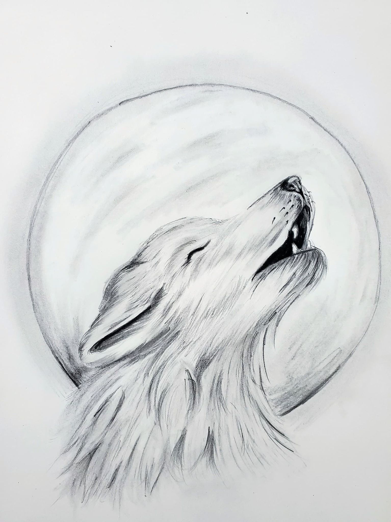 Wolf Howling Drawing Artists Palette Durham