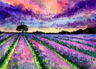 Lavender Field at Sunset_LQ