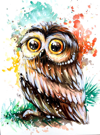 Owl Splash Watercolour
