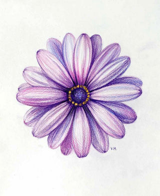 Purple Daisy - Drawing | Instructor: Vera