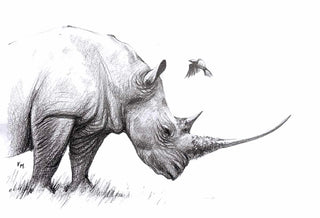 Rhino and his little friend - Drawing | Instructor: Vera