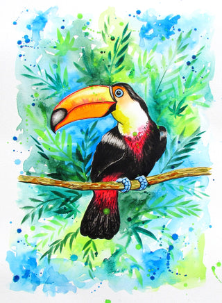 Toucan in the Tropics
