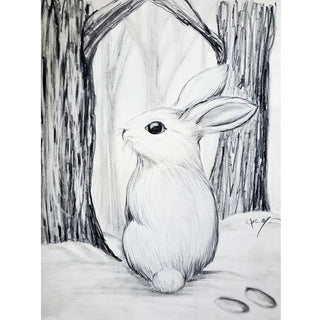 Website_Bunny 2