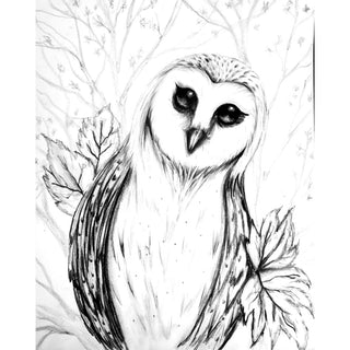 Website_Owl drawing