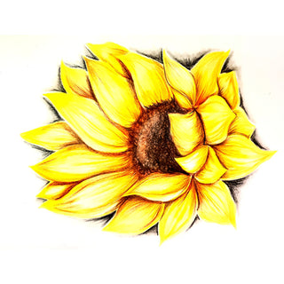 Website_Sunflower