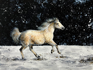 Wild Stallion in Snow