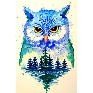 owl website