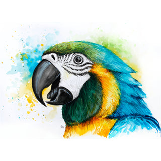 website_macaw
