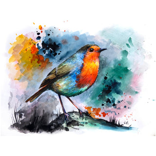 Robin acrylic painting.